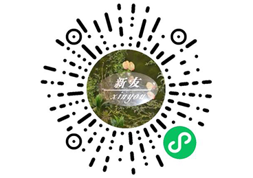 浙江鳳起花鳥城